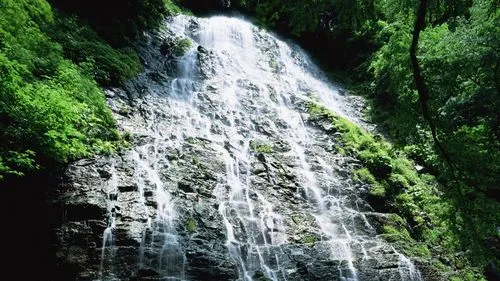 节能智慧城市全自动